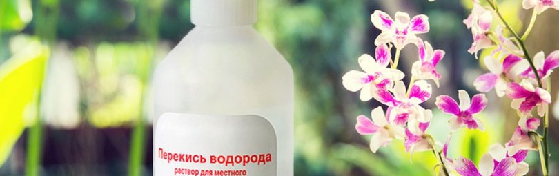 Как почистить микроволновку подручными средствами - TwitNow.ru