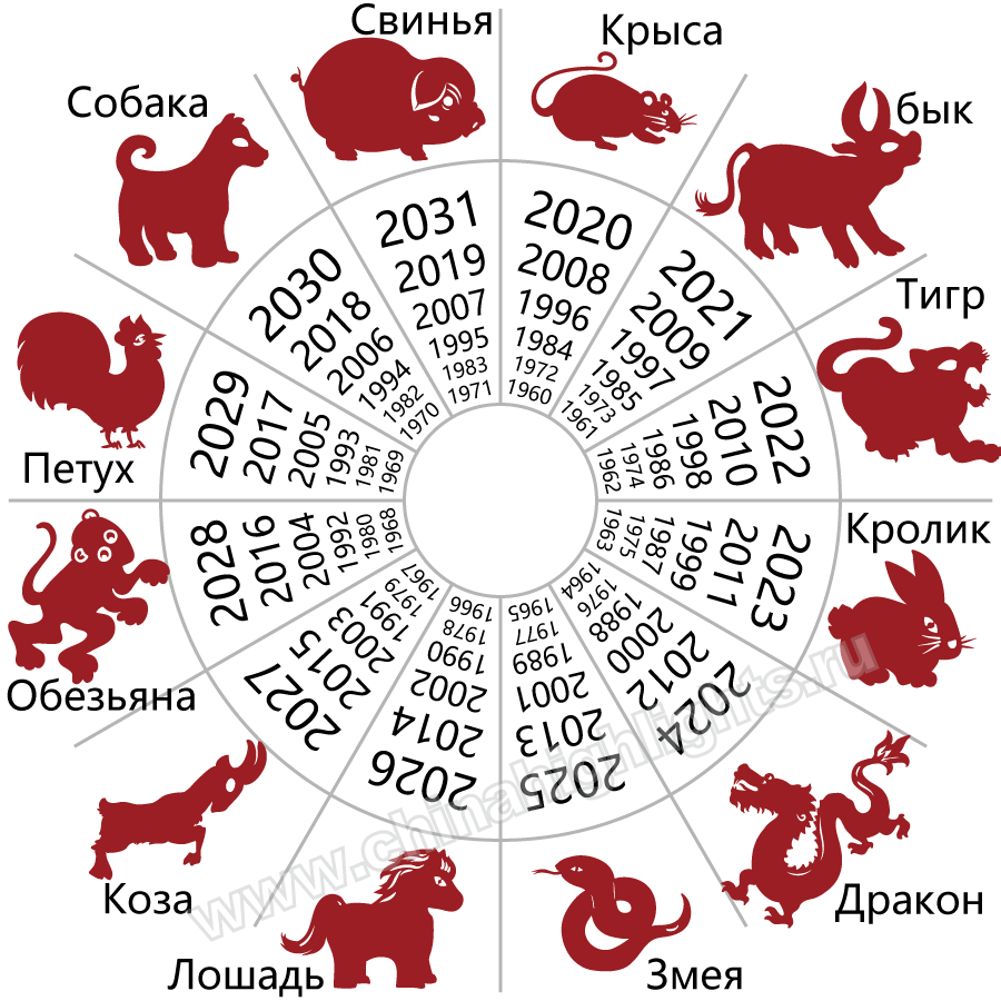 Восточный гороскоп на 2022 год (год Тигра) для всех знаков по годам - TwitNow.ru