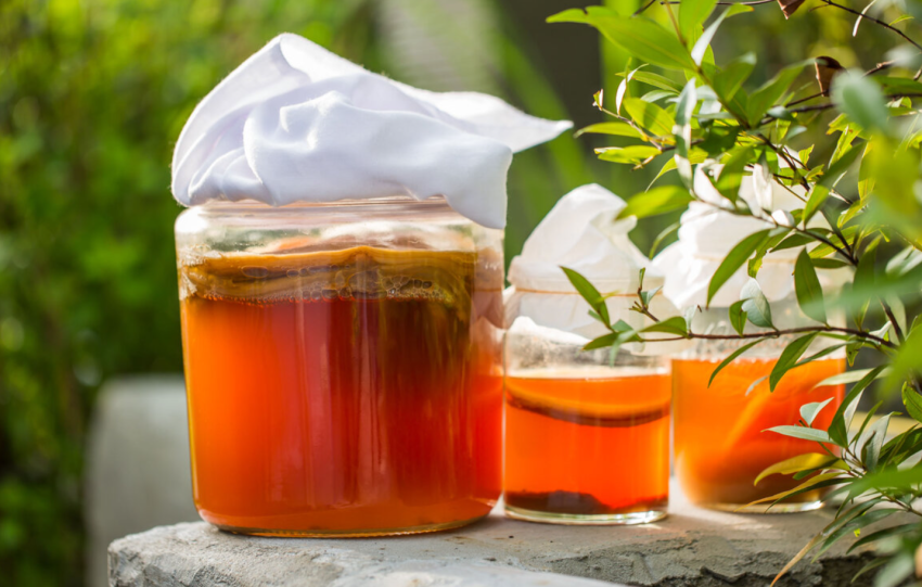 Исследование: чайный гриб очищает воду лучше искусственных фильтров - TwitNow.ru