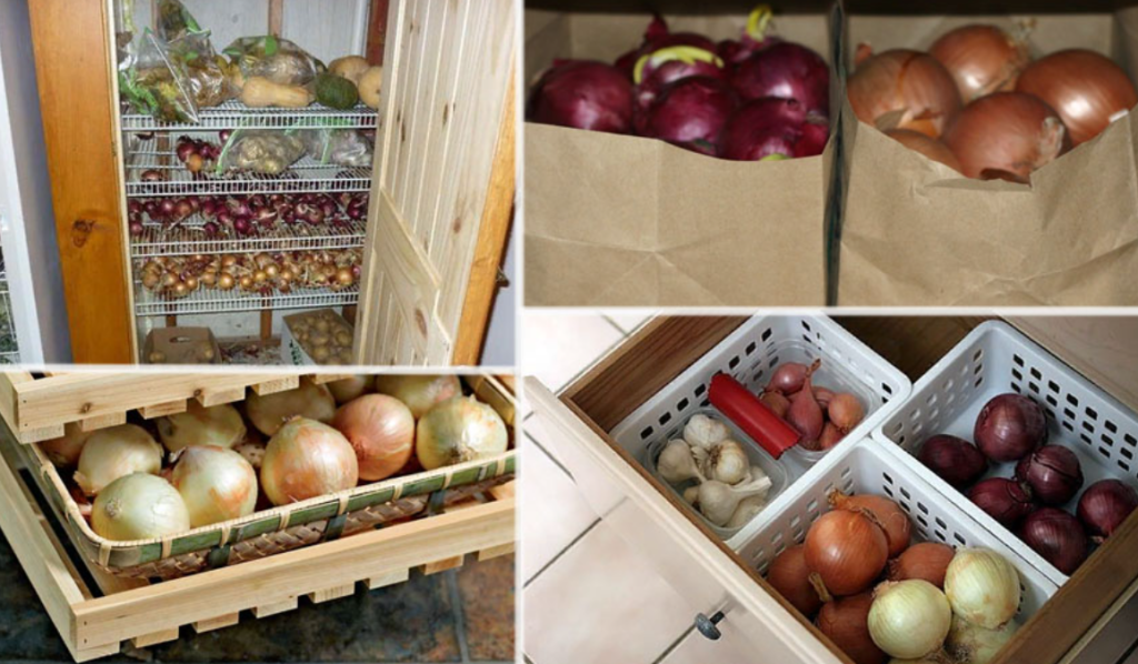 Как сохранить лук свежим в холодильнике. Хранение урожая. Хранение овощей. Ящик для хранения картошки.
