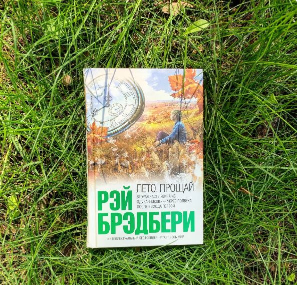 Книги с летним настроением - TwitNow.ru