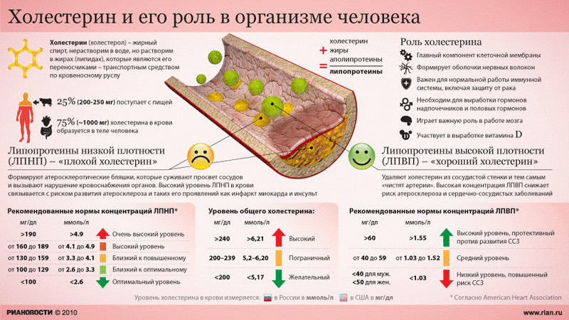Как понять, что поднялся уровень холестерина - TwitNow.ru