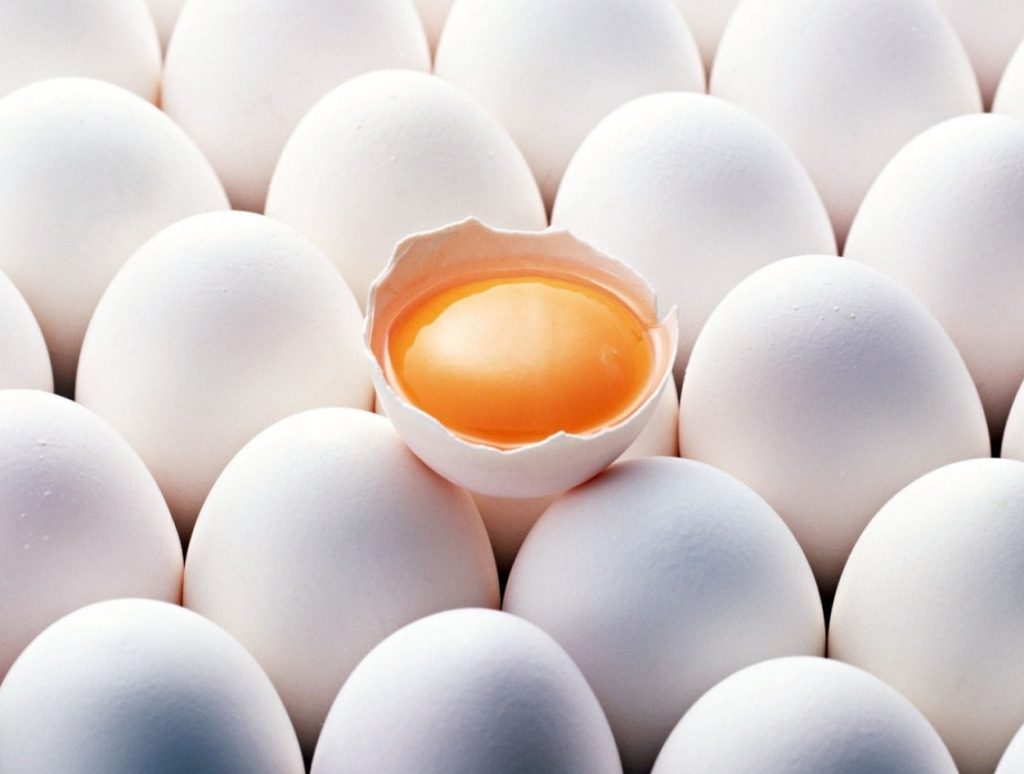 Употреблять яйца не опасно - TwitNow.ru