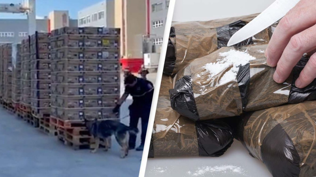 Колумбийские картели нечаянно доставили тонну кокаина в чешские супермаркеты - TwitNow.ru