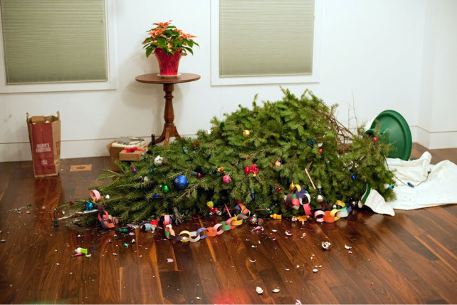 Когда убирать новогоднюю елку - TwitNow.ru