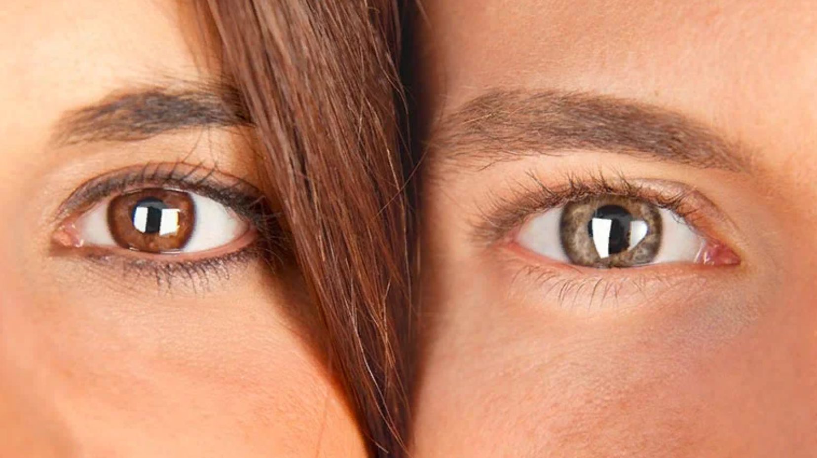 Женский и мужской глаз карие