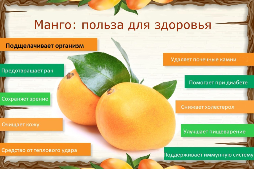 6 полезных свойств манго для здоровья - TwitNow.ru